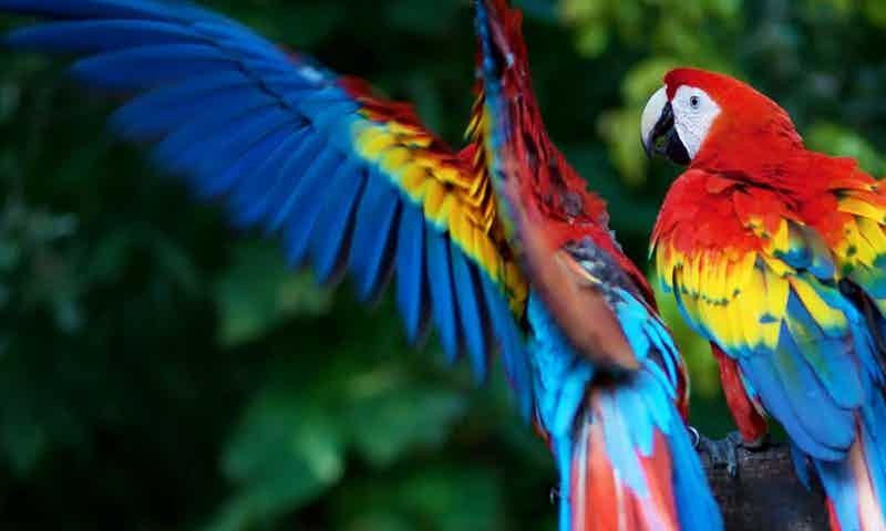 nulla-minima-veritatis-iusto-nostrum-consectetur