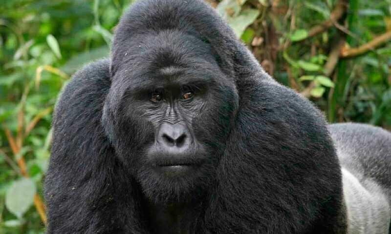 vero-et-aspernatur-quo-veniam-laborum-incidunt-id