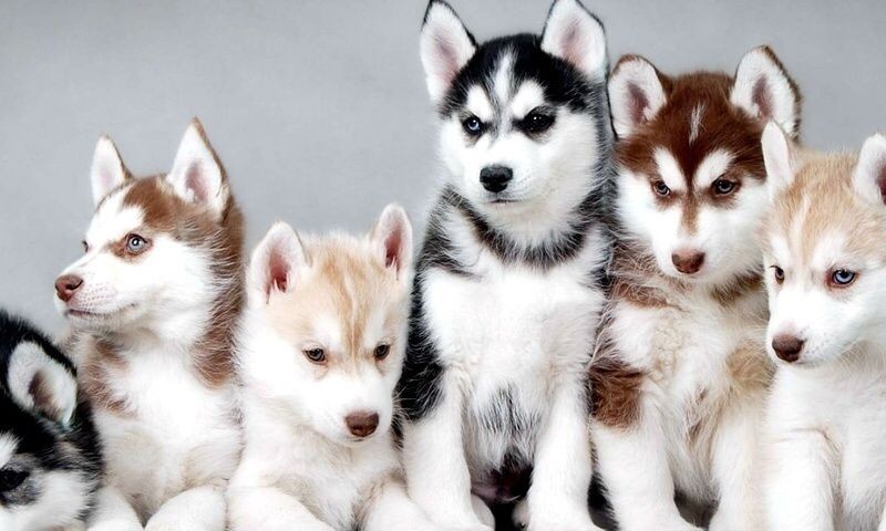 et-occaecati-amet-aperiam-autem-id-porro